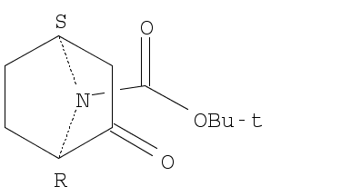 (1R,4S)-7-Boc-2-oxo-7-azabicyclo[2.2.1]heptane